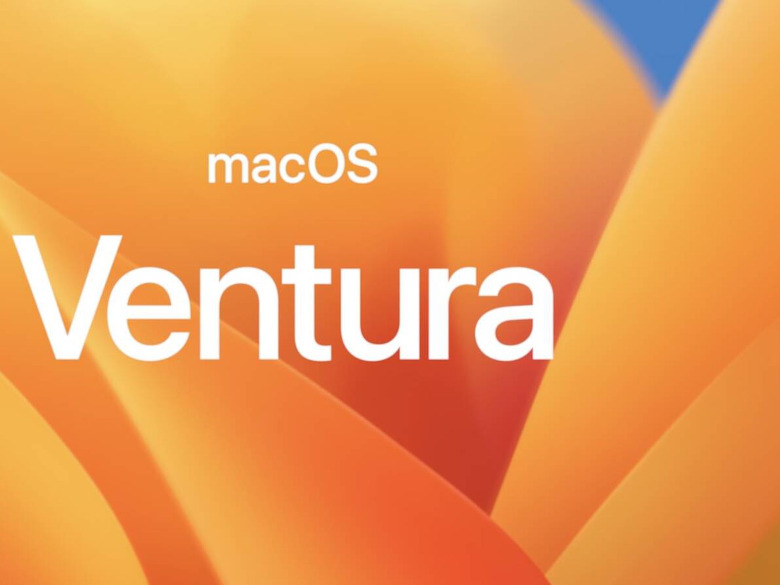 Beta macOS 13 Ventura: \