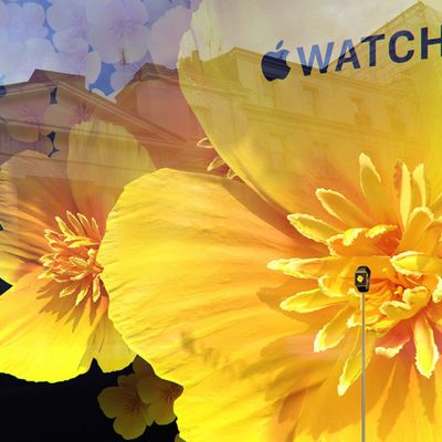 applewatchselfridges1